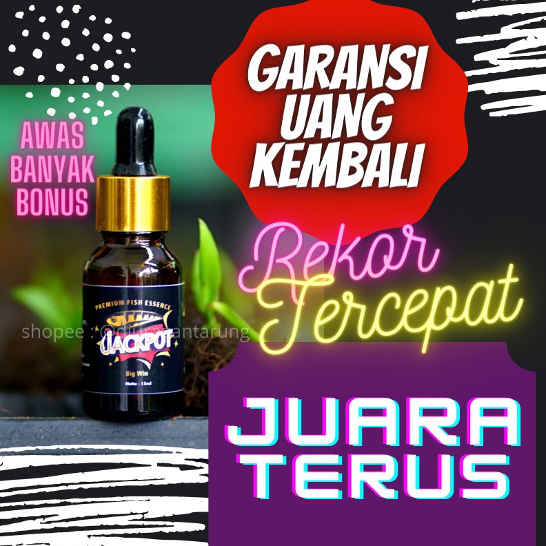 ️✔️✔️ Essen Ikan Lele,Essen Ikan Lele Galatama, Essen Ikan Lele Harian, Essen Ikan Lele Media Cacing