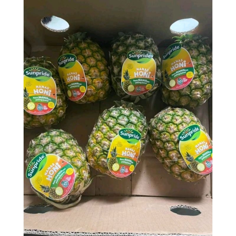 

Nanas Honi Sundpride