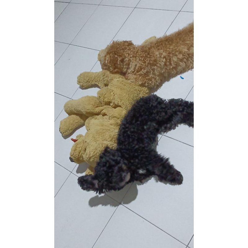 WISHLIST software Cookie run ovenbreak level tinggi