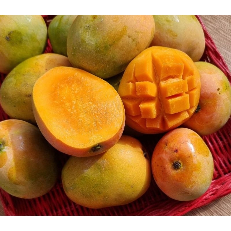 

BUAH MANGGA GEDONG FRESH 1KG/BUAH MANGGA GEDONG SUPER MANIS FRESH 1KG