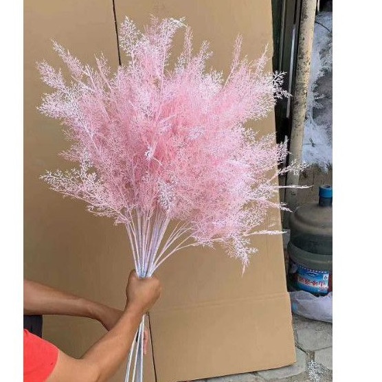 GCQJ8431 [KODE 77]  Daun Cemara Asparagus Tangkai Panjang/ Artificial Smoke Bush