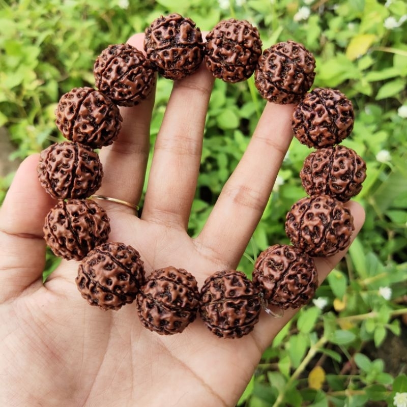 gelang jenitri rudraksha alami 15-17mm