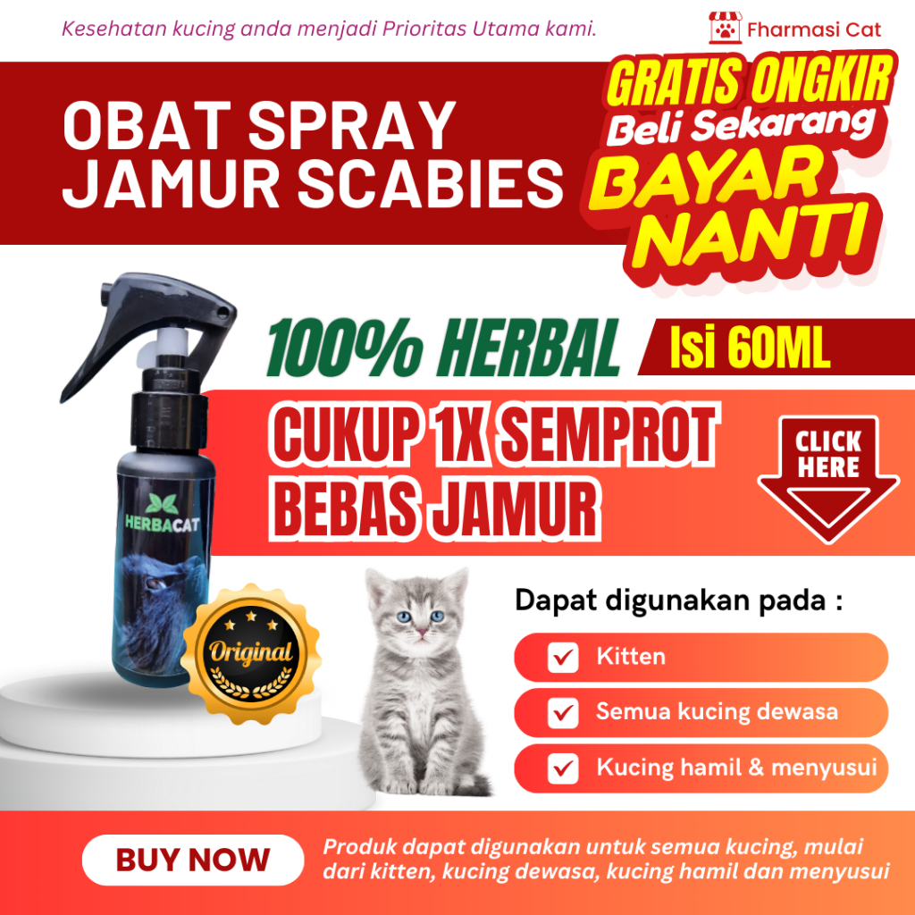 obat jamur kucing dan Scabies kucing AMPUH Herbacat spray cocok untuk kitten , kucing hamil ,kucing 
