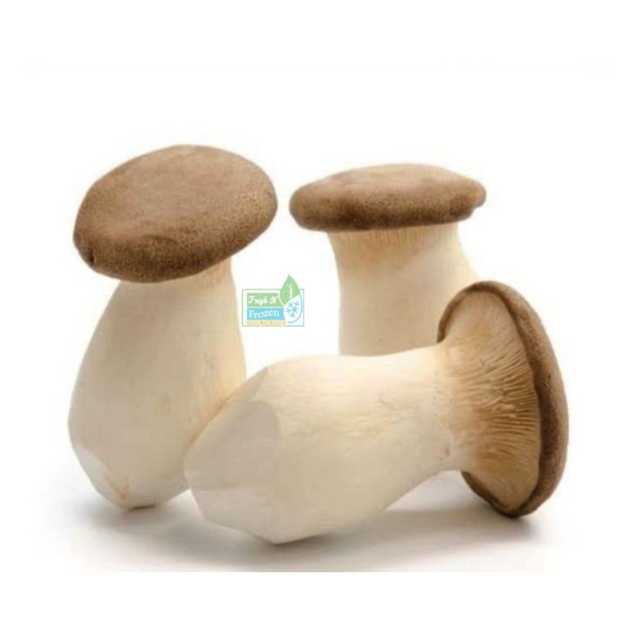 

Jamur King Oyster 200 Gram / pack