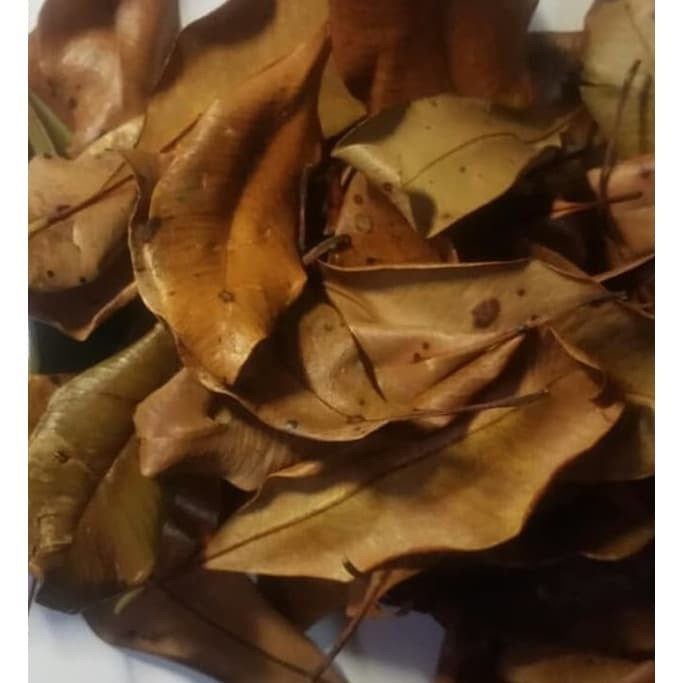 

daun cengkeh kering pohon 500g