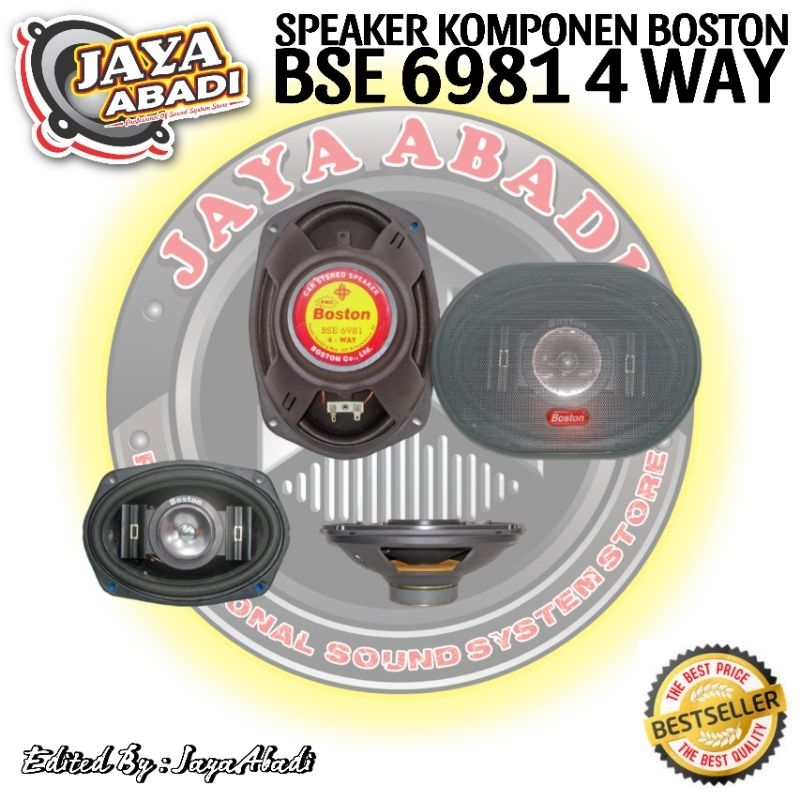 SPEAKER OVAL BOSTON BSE 6981 ORIGINAL