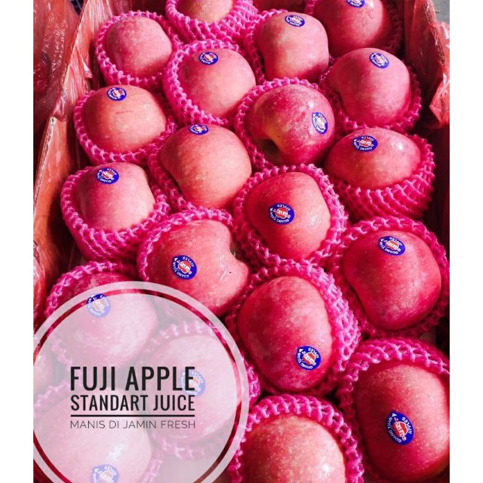 

VLFT4835 HOT Buah apel fuji rrc untuk jus 1kg