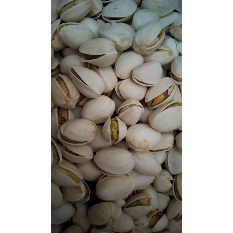 

kacang pistacio panggang 500 gram