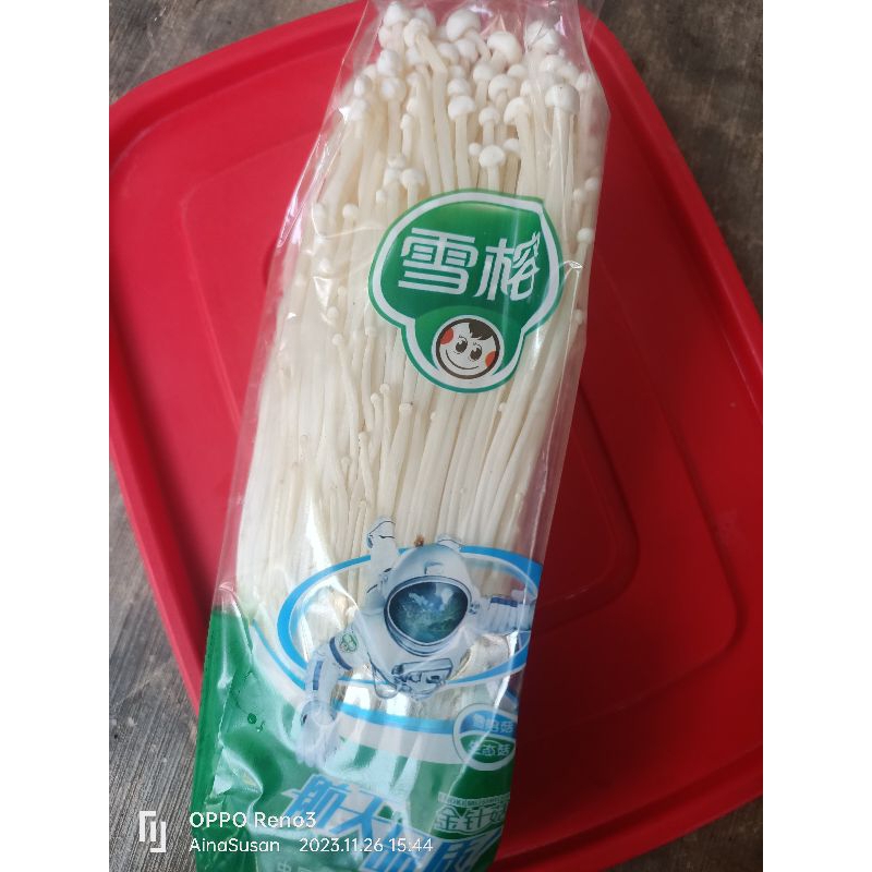 

Jamur Enoki