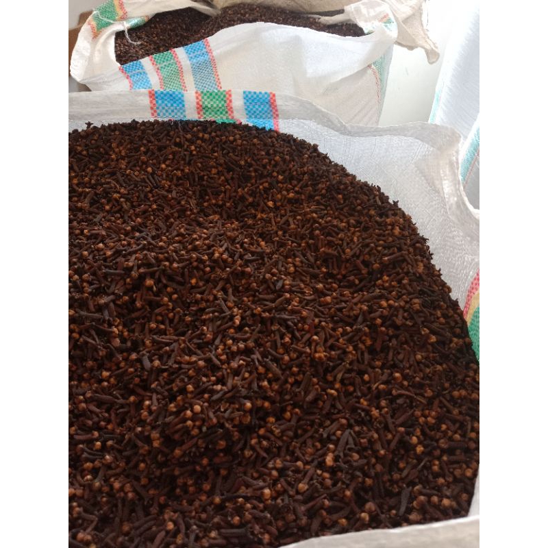 

Cengkeh kering/Clove 1kg (langsung dari petani)