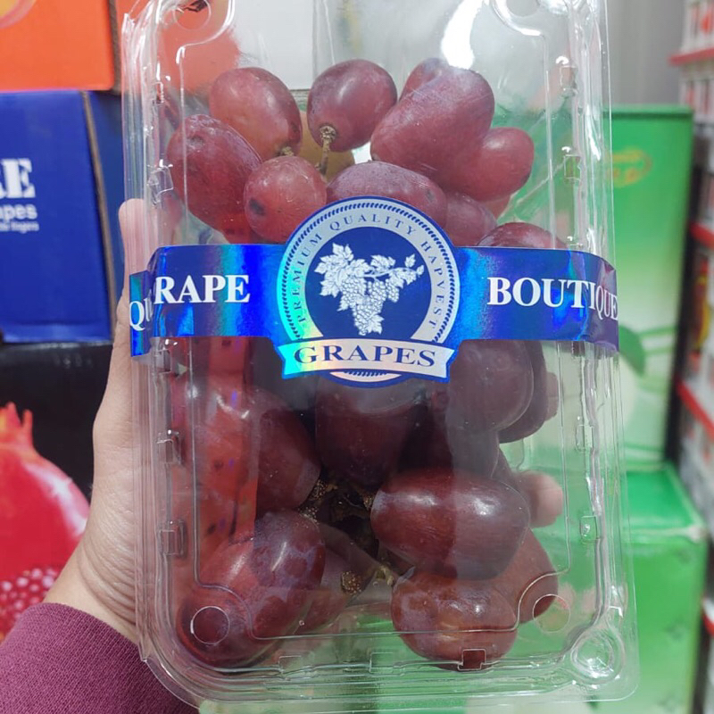 

Anggur Red Muscat 500 Grm Segar