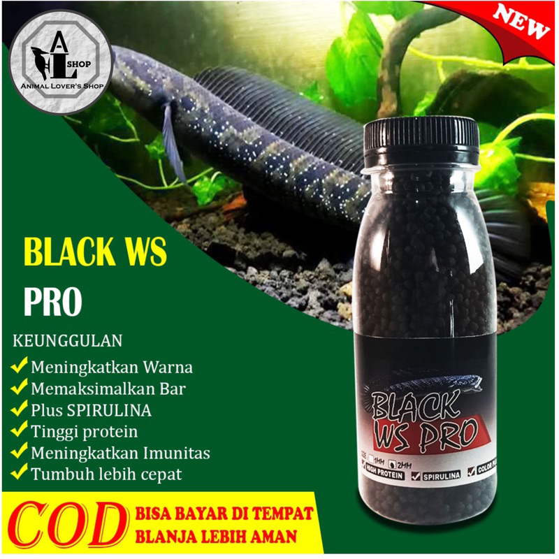 Pelet black ws pro pakan ikan Channa asiatica ws pelet Chana Asiatica ws