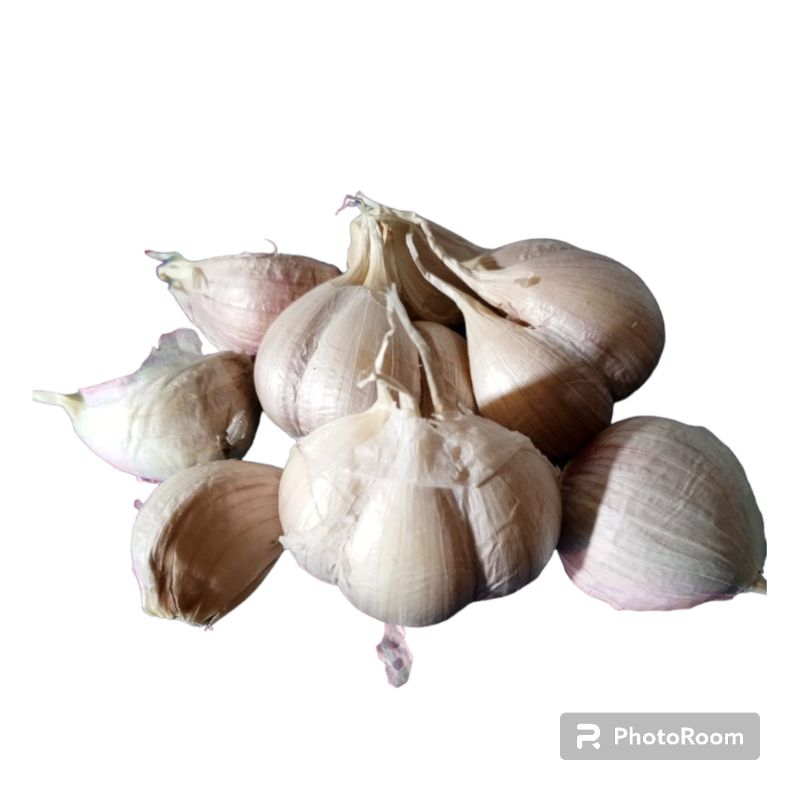 

Bawang putih kating bisar special
