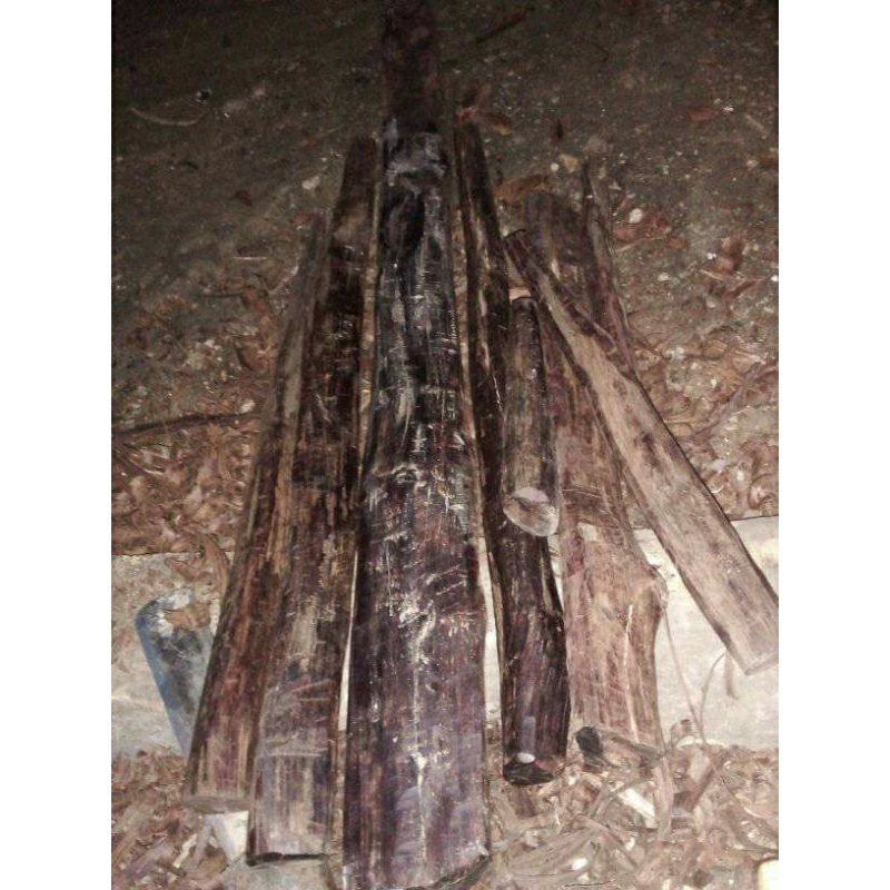 bahan kerajinan setigi tua mati ngurak