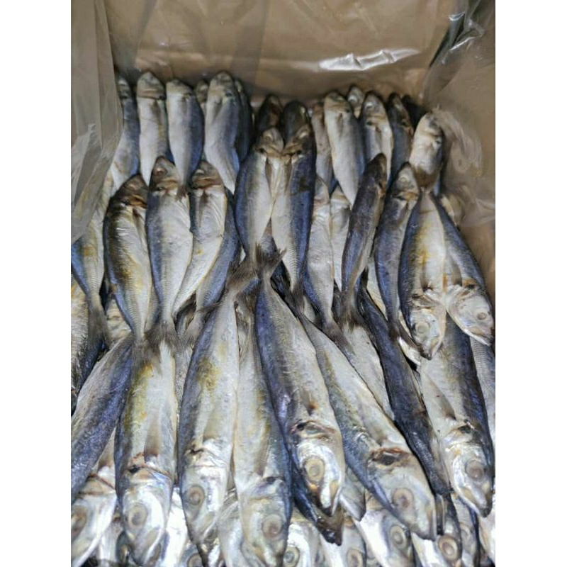 

ikan asin peda K2 500 gram