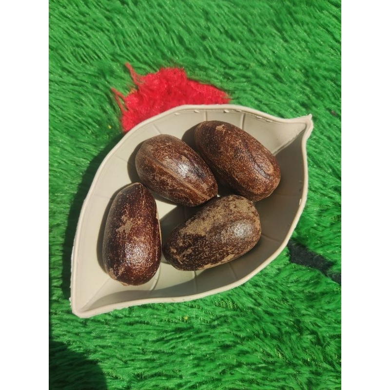 

PALA/BIJI PALA/POLO 1 BIJI