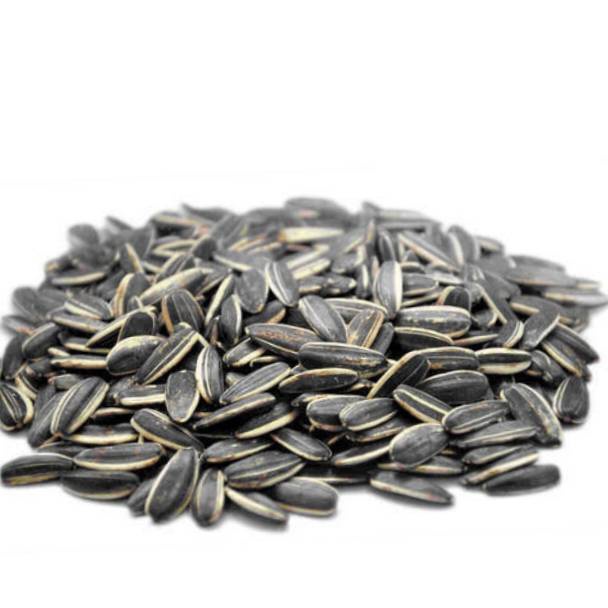 

Kuaci Biji Bunga Matahari 500GRAM - Sunflower Seed - kwaci matang - kuaci Rasa Original 43