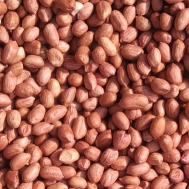 

[KODE HLIPL] Kacang Tanah Mentah 500gr