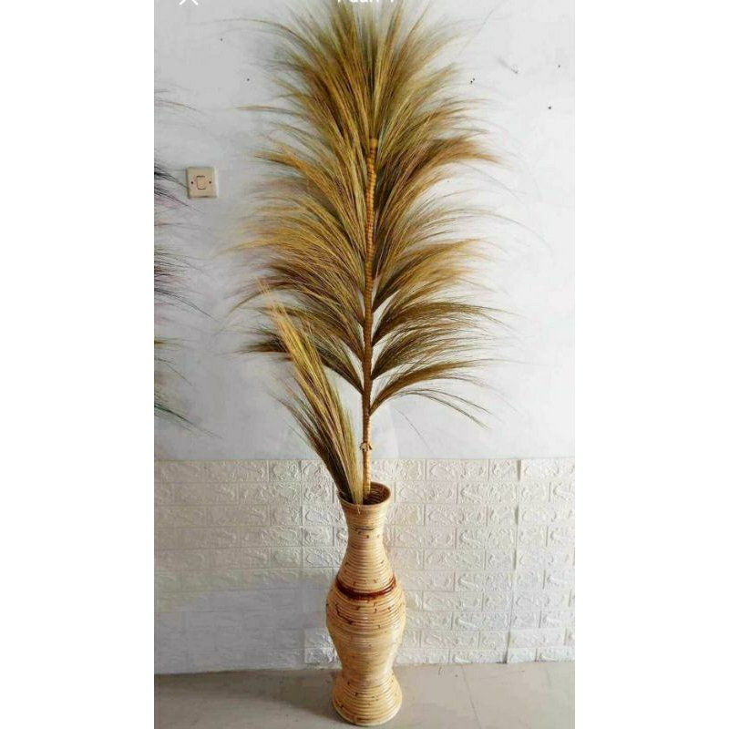 Pampas Rayung 2m | rayung stik | pampas stik | bunga dekorasi bonus bunga sikas