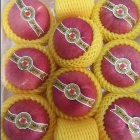 

APEL CHIKACHI JEPANG GIFEX