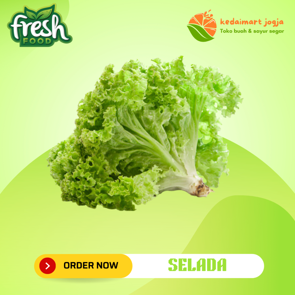 

Selada Keriting Segar / Daun Selada Fresh Kedaimart Jogja