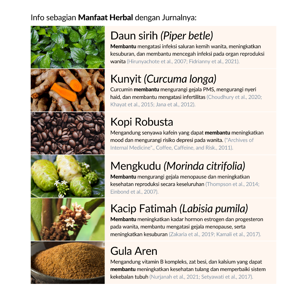 AMIRALAB Queen Secret Coffee Travelpack Minuman Kopi Obat Lancar Haid Menstruasi Telat Terlambat Siklus Bulan Melancarkan Alami Ampuh Untuk Busui KB Kesehatan Wanita 40gr-3