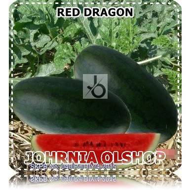 Johrnia 2 Benih Biji Semangka RED DRAGON