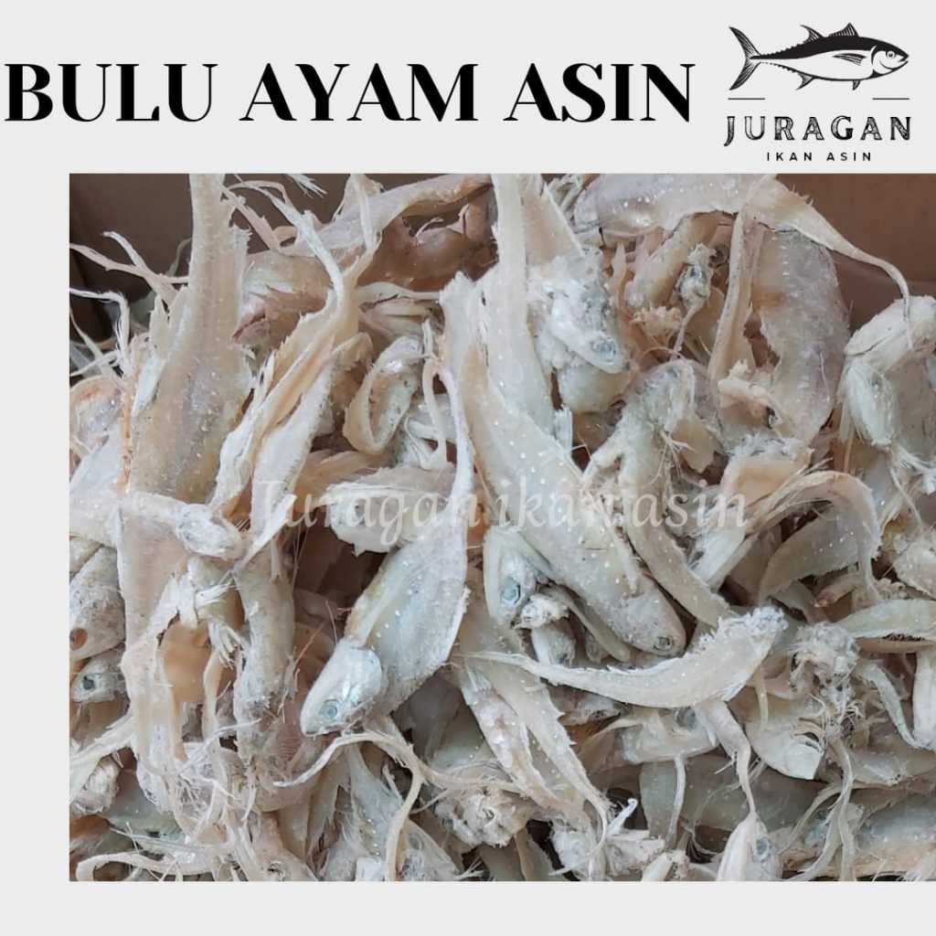 

IKAN BULUAYAM ASIN KEMASAN 250GR BISA COD / TERSEDIA HARGA GROSIR