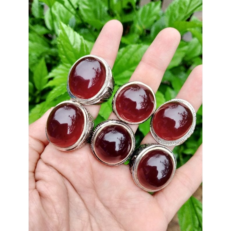 Getah katilayu natural asli