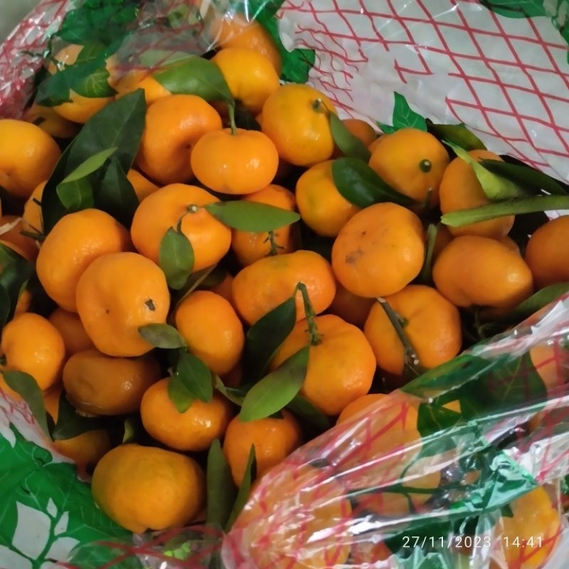 

jeruk santang/jeruk manis segar/jeruk bandar Lampung/jeruklampung