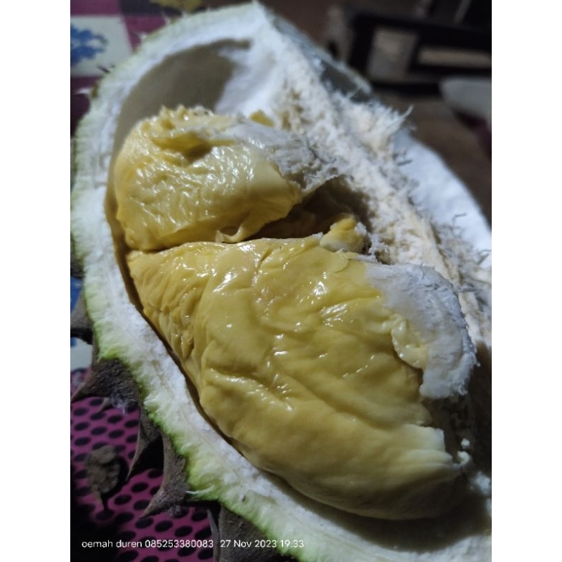 

durian bawor banyumas