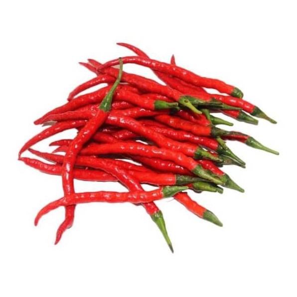 

MODEL MZG812 Grosir 100 gram Cabe Merah Keriting Cabai Segar Pedas Murah