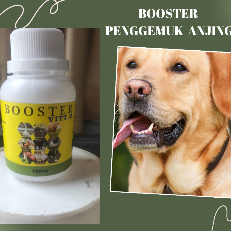 Vitamin penggemuk anjing Vitamin nafsu makan anjing