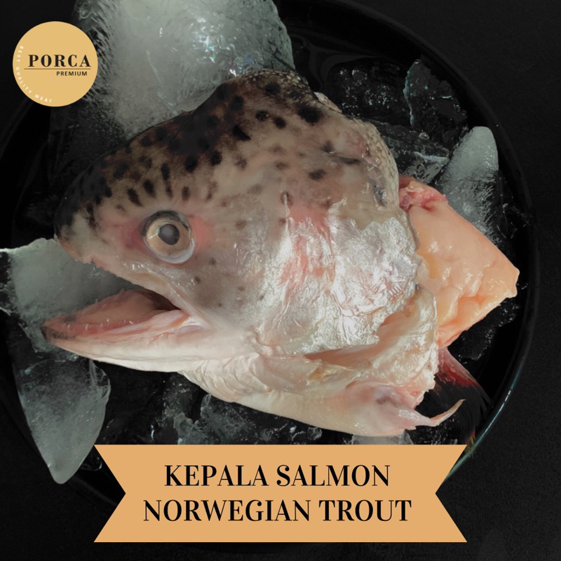 

Kepala Ikan Salmon Norwegian Trout