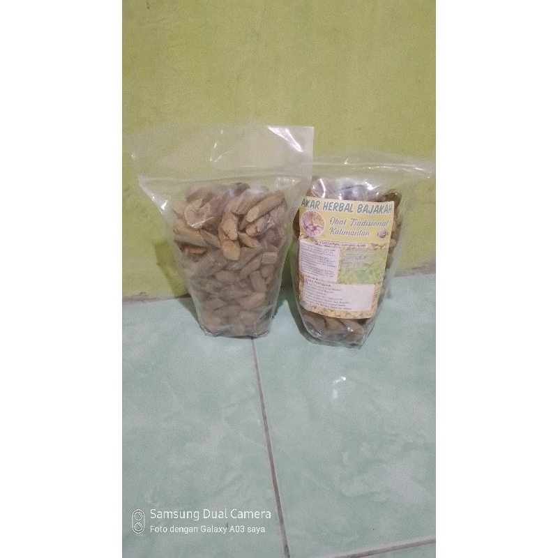 Akar Kayu Kuning Asli Kalimantan