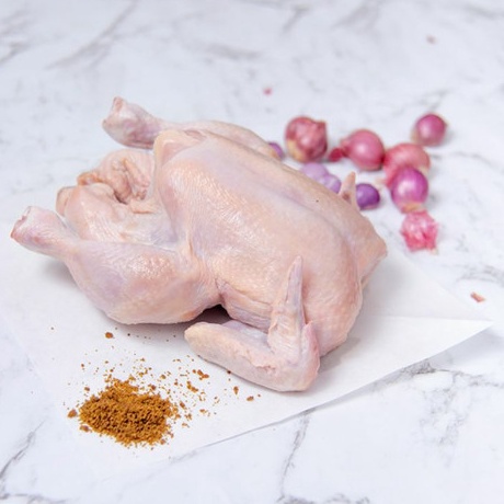 

TIPE PBU258 ayam broiler frozen 600 sd 700 gram/ayam 0607/ayam potong/ayam murah