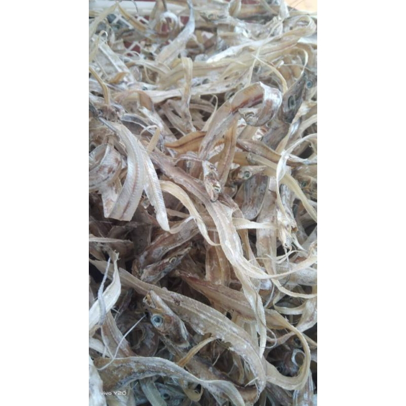 

ikan gereh layur
