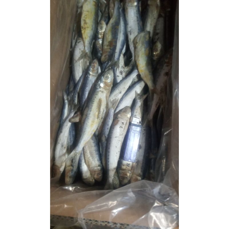 

ikan asin