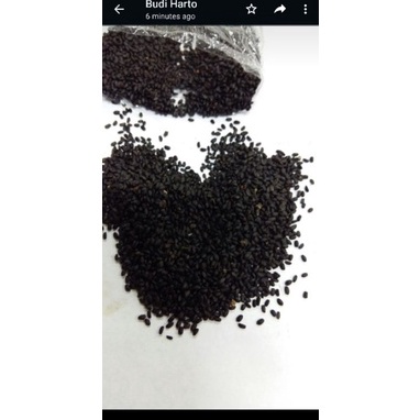 

R3ady St0ck Biji Selasih 1 Kg bagus besar dan murah Get it now