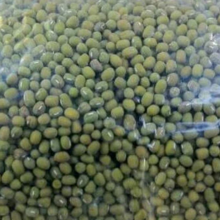 

48 kacang ijo lokal 1 kg kacang ijo bubur ➻Ready