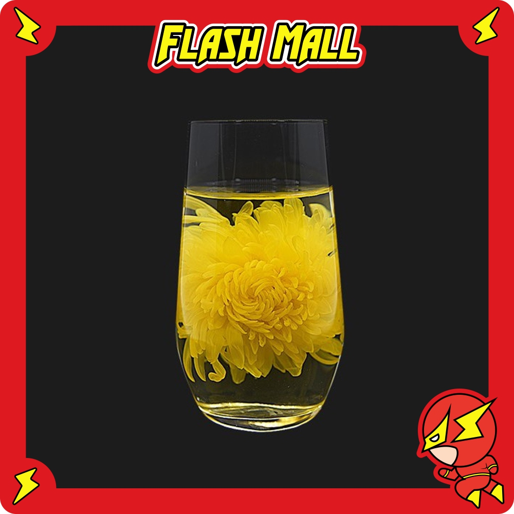 FLASHmall 1 PCS Golden Silk Chrysanthemum Tea Teh Bunga Krisan Besar Jin Si Huang Ju Blooming Flower