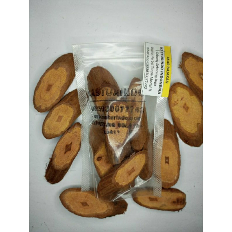 

Akar Bajakah Khas Dayak Kalimantan Isi 50 Gram COD