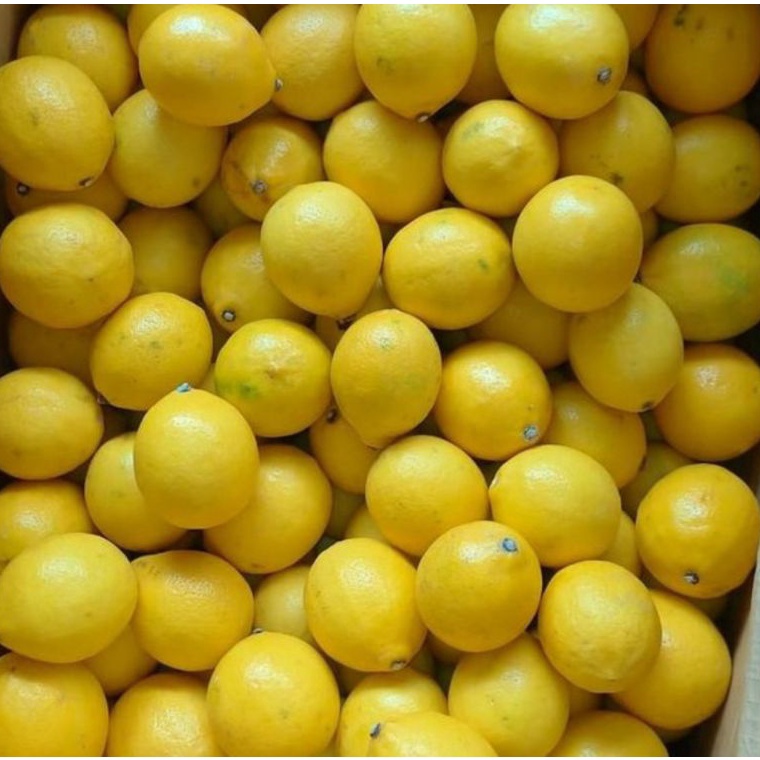 

NRNB1825 5.5 COD BUAH LEMON CALIFORNIA LOKAL