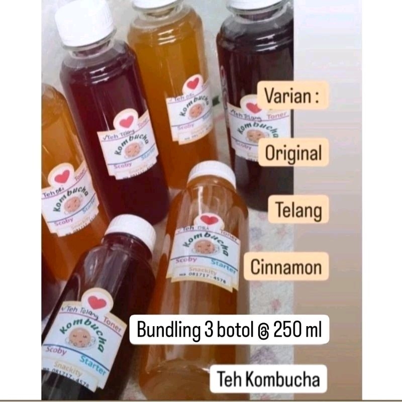 

Isi 3 botol Teh Kombucha Siap Minum 250 ml Hemat dan Bagus untuk kesehatan