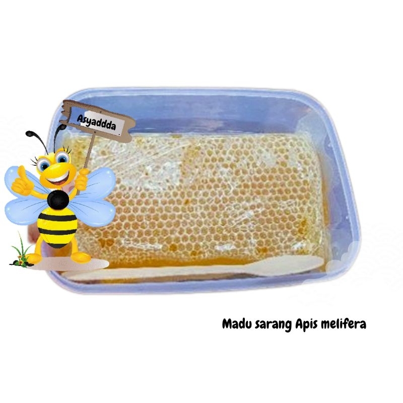 

Madu Sarang Asyadda Murni Asli 500 gram Raw Honey melifera Free Sendok Kayu