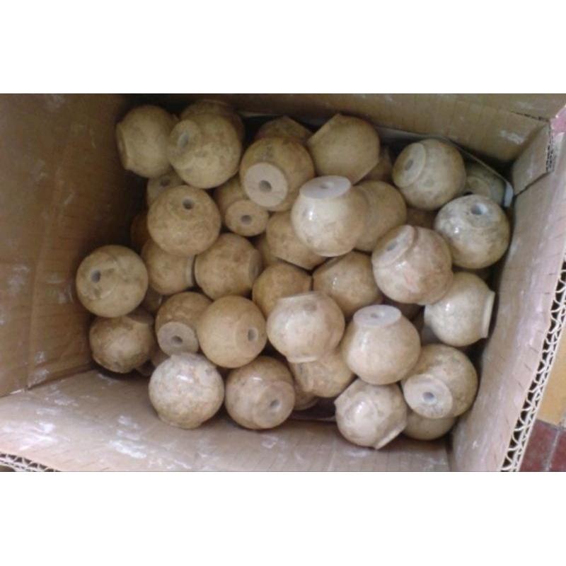 

Telur piala 111 pcs Termurah