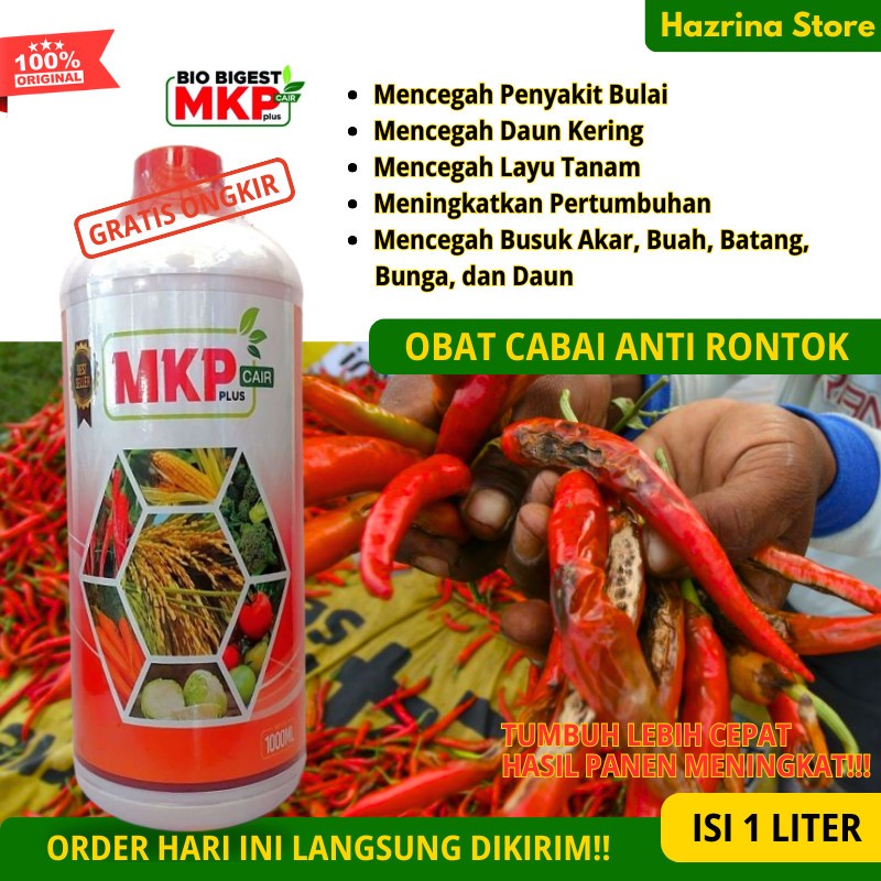 BIO BIGEST Pupuk Obat Bulai Anti Keriting Dan Nutrisi Cabe Rontok