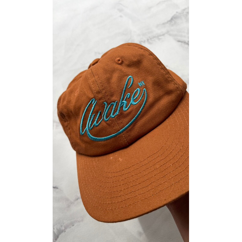 awake ny script logo 6-panel hat