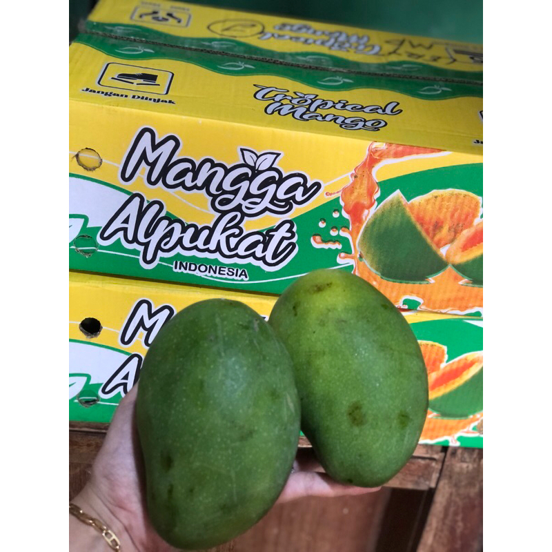 

Mangga Alpukat / Harum Manis Grade A Harga per Kg