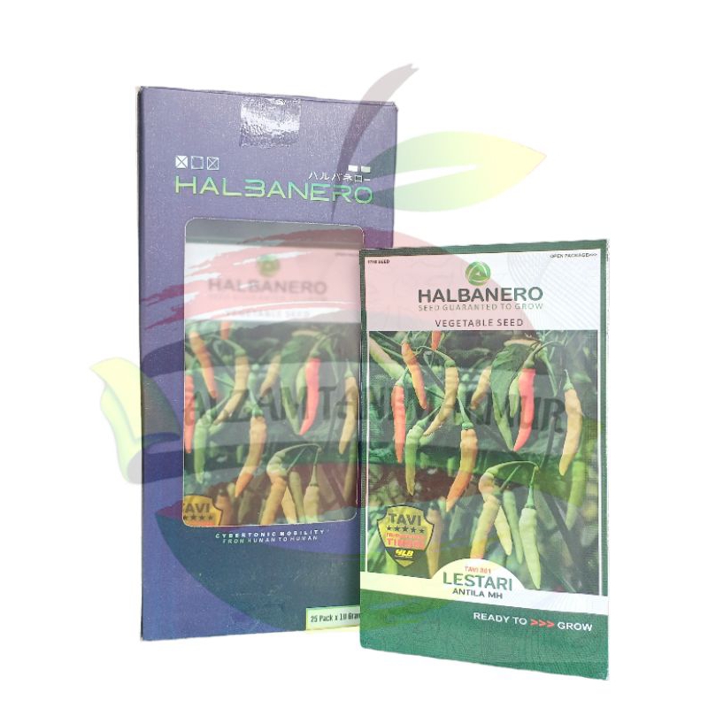 Benih Cabai Rawit Putih LESTARI isi 10 Gram HALBANERO